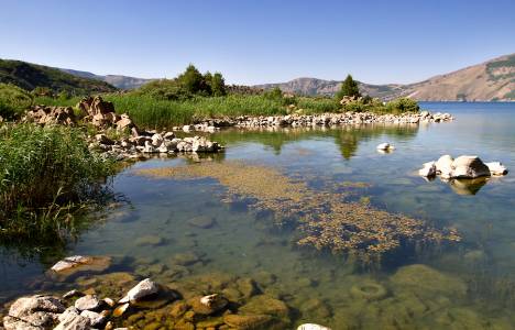 Ramsar listesine dahil edilecek alanlar nasıl belirlenir?