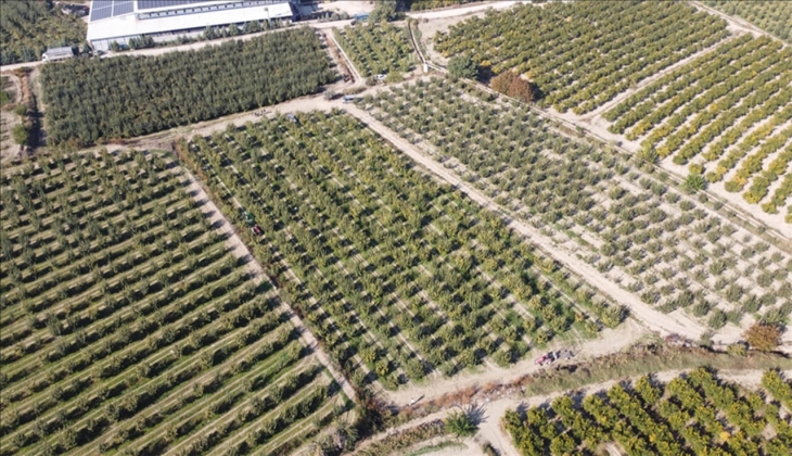 Arsa almak isteyenler dikkat! Milli Emlak'tan 112 bin 450 liraya konut alanı imarlı arsa fırsatı!