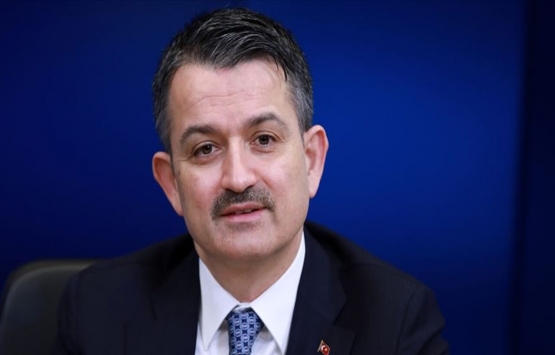 Çiftçilere müjde! Tarım destekleri ödemeleri bugünden itibaren hesaplara yatıyor!