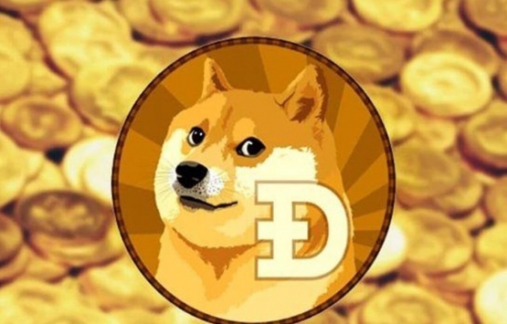1 milyar TL'lik Dogecoin vurgunu!