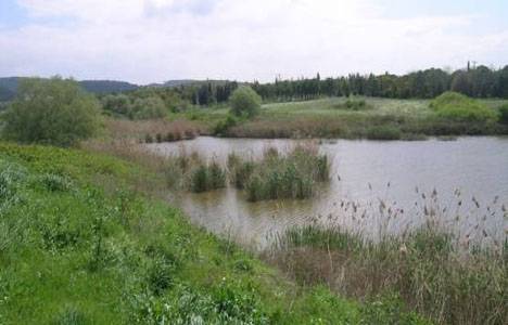 Balıkesir Üniversitesi'ne botanik bahçesi yapılacak!