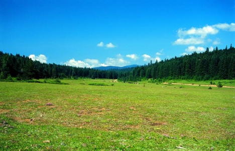 Bingöl'de 28 mera ve yayla kiralanacak!