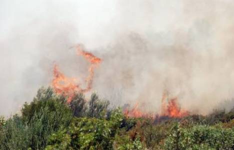 Didim'de makilik alanda yangın çıktı!