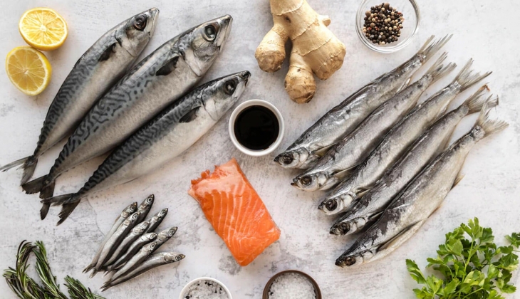 İstanbul Balık Hal fiyatları ne kadar? İşte 13 Haziran 2022 fiyat listesi