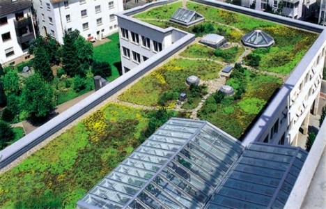 Bahçe keyfi artık yeşil çatılarda yaşanıyor!