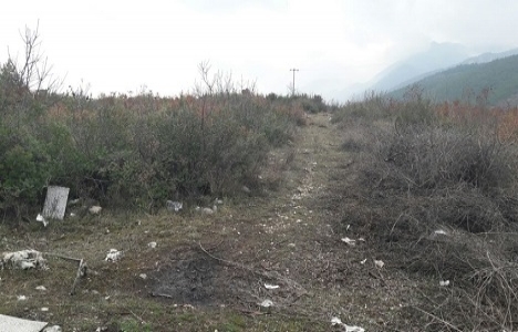 Manisa Kırkağaç'a hayvan barınağı inşa edilecek!