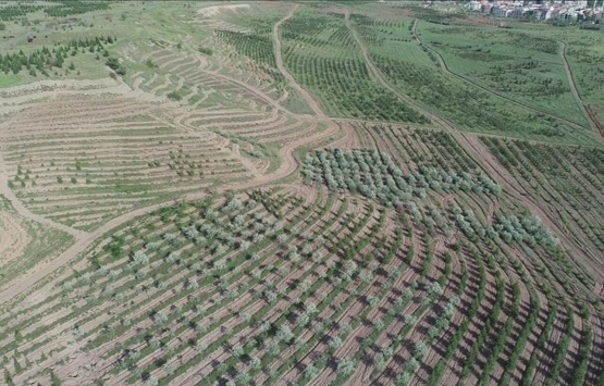 Ankara Atatürk Orman Çiftliği nde son durum ne?