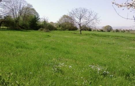 kültür arazisi nedir