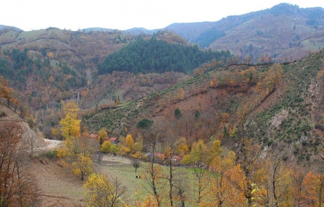 Madra Dağı'nda altın madeni bulundu!