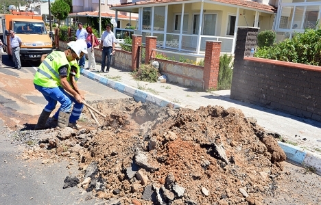 İzmir'de kış aylarında kazı yapılmayacak!