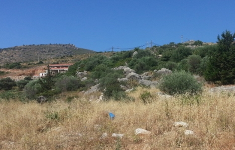 Muğla Datça'da 7 milyon TL'ye satılık arsa!