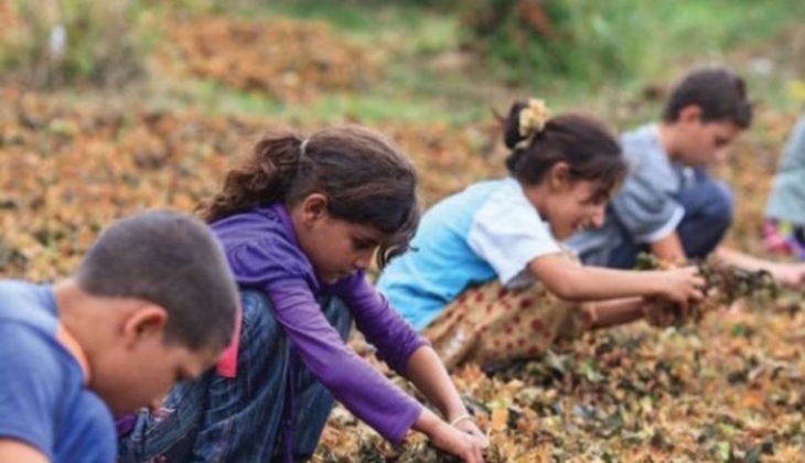Dünya için tehlike çanları çalıyor! Yaşam süresi, eğitim ve hayat standartları düştü