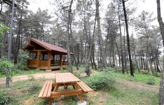 Ormanlardaki kamu tesisleri şirketlere mi tahsis ediliyor?