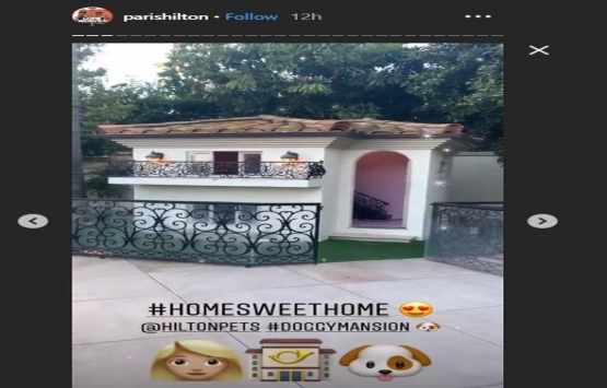 Paris Hilton un köpekleri de havuzlu malikanede yaşıyor!