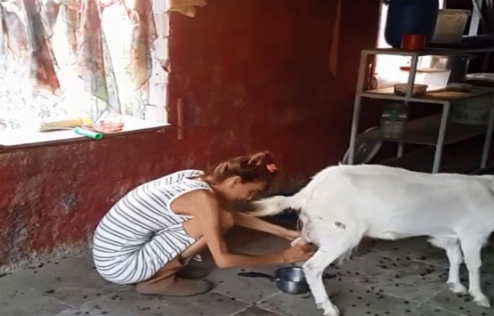 Büyük şehirlerden köylere göç trendi!