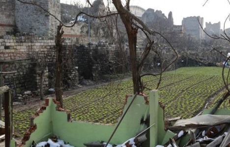 Yedikule deki bostanlar için uzmanlar uyarıyor!