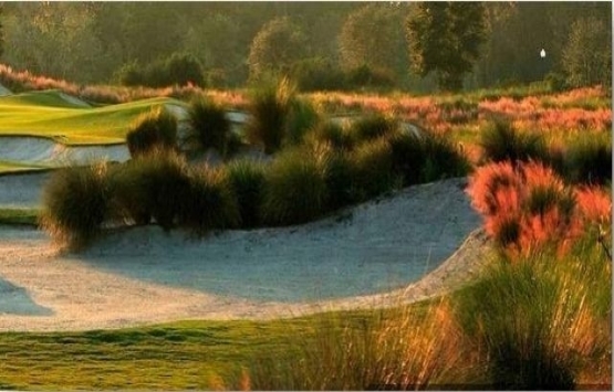 Mustafa Vehbi Koç Golf Tesisi için yeni imar planı!