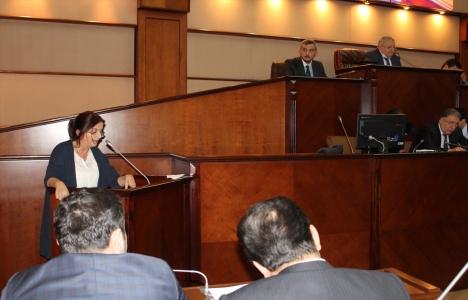 Esin Hacıalioğlu: Yassıada üç beş ağaçtan ibaret değildir!