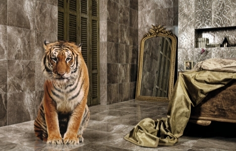 Bien, doğayı evinize taşıyor!