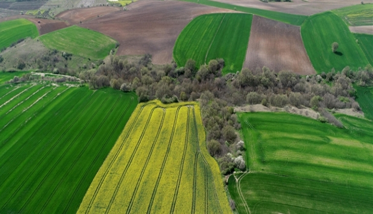 Belediyeler 2 şehirde konut imarlı 19 adet arsa satıyor!