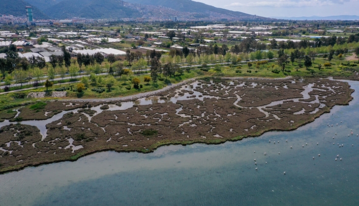 Dokuz Eylül Üniversitesi İzmir İnciraltı'nda gayrimenkul satacak!