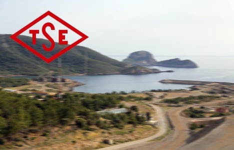 TSE'den nükleer enerji için iş birliği!