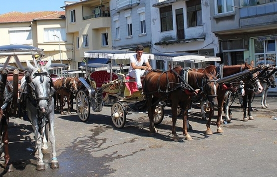 Adalar da 18.7 milyon TL ye icradan satılık havuzlu ahşap ev!