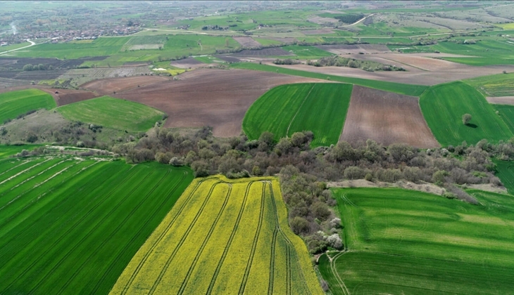 2 ildeki 53 adet arsa ve arazi satılıyor! Gayrimenkul alacaklar dikkat! 