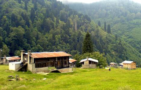 Araplar Karadeniz'den 17 yayla evi 24 arsa satın aldı! 