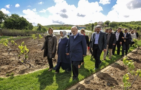 İstanbul'un en büyük meyve bahçesi Beykoz'da açıldı!