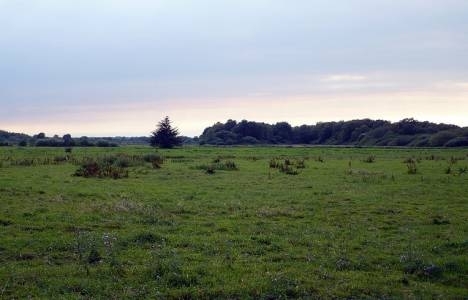 Arazi vergi oranı 2014!