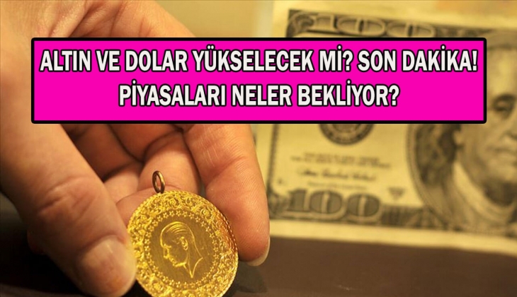 Altın ve dolarda neler oluyor? Uzmanlar tek tek açıkladı! Altını ve doları olanlar şimdi göz atın!