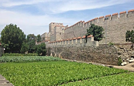 Yedikule bostanları imara açıldı!
