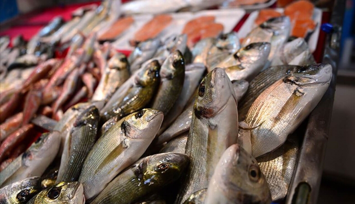 İstanbul Balık Hali fiyatları ne kadar? İşte İstanbul Balık Hali 23 Mayıs 2022 fiyat listesi...