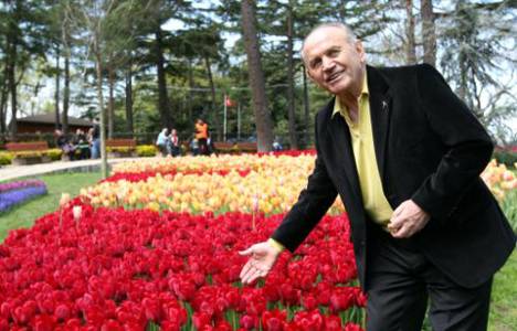 Dünya Lale Zirvesi İstanbul'da başlıyor!
