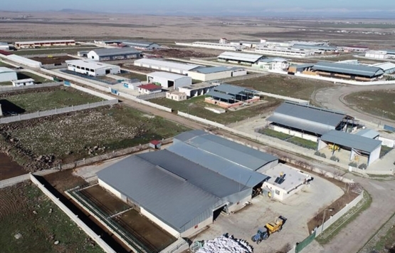 Sanayi tesislerinde metrekare fiyatları uçuşa geçti!