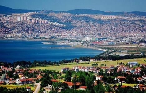 kocaeli ağaçlandırma