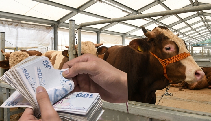 Migros büyükbaş ve küçükbaş kurbanlık fiyatlarını açıkladı! Kurban Bayramı nda ücretsiz olacak