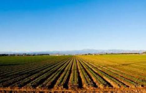 Arazi toplulaştırması ne demek?