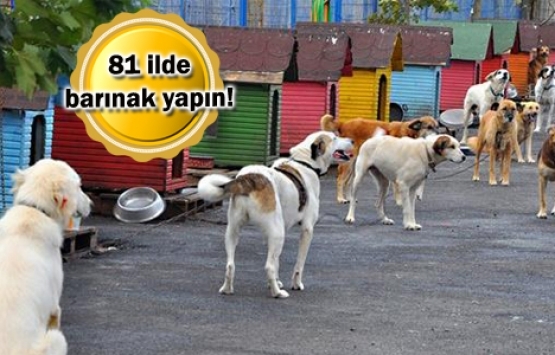 Veterinerler TOKİ’ye başvurdu!