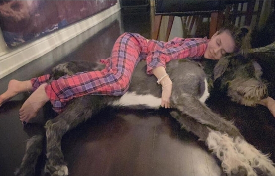 Heidi Klum un Bel-Air deki 10 milyon dolarlık lüks malikanesi!