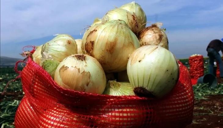 Zam şampiyonu soğanın fiyatı düşüşe geçti! Soğan ne kadar, kaç TL oldu?
