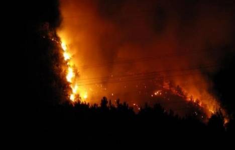 Mersin'de orman yangını çıktı!