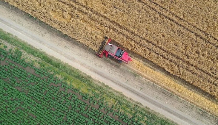 Tarım sektöründen 14 milyar 58 milyon dolarlık ihracat!