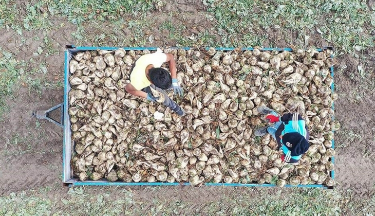 Çiftçilere 715,8 milyon liralık ödeme müjdesi! Paralar bugün hesaplara yatırılıyor! Hemen kontrol edin!
