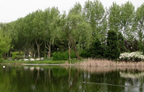 Osmangazi Soğanlı Botanik Parkı imar planı askıya çıktı!