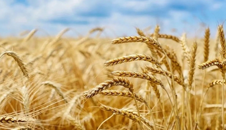 Hububat fiyatları arttı mı? 27 Mart 2023 hububat fiyatları