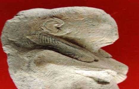 Patara Antik Kenti kazılarında 2 heykelcik bulundu!