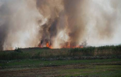 Göksu Deltası'ndaki yangına arazi şartları yüzünden müdahale edilemiyor!