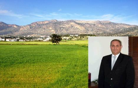 Orman davalarında anayasanın eşitlik ilkesi ihlal mi ediliyor?